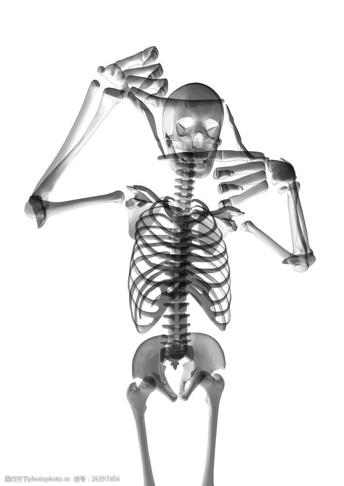 骨骼结构图可爱的骷髅图片