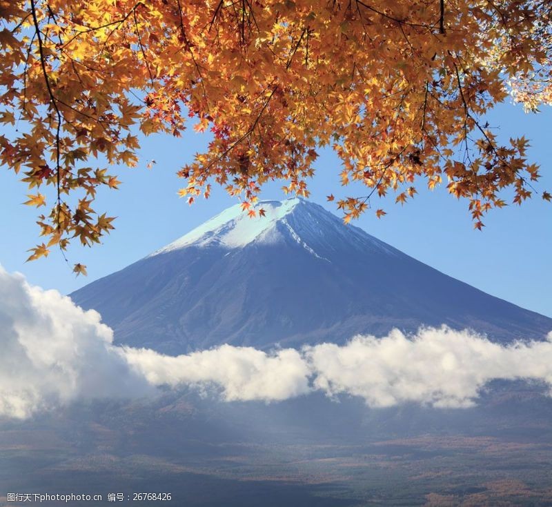 日本日本枫树日本富士山风景图片