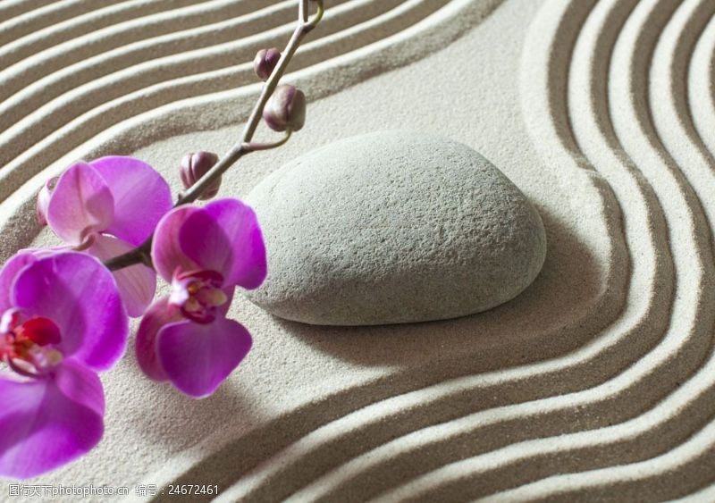 美容石块沙子背景与鹅卵石鲜花图片
