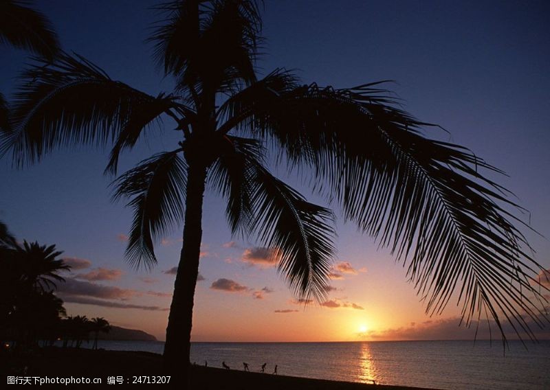 夏威夷海边日落风景图片
