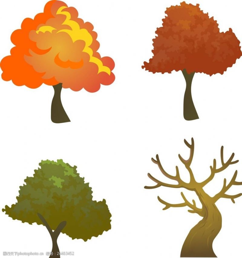 树木插画四季树木