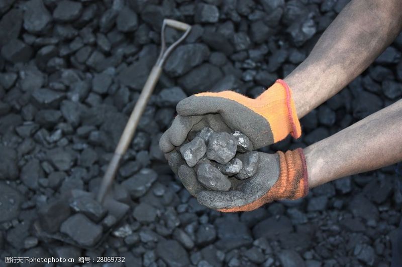 煤炭捧着煤碳的双手图片