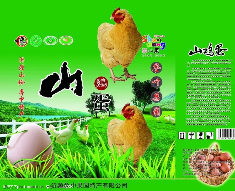 无污染宣传海报绿色鸡蛋