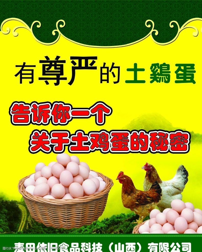 无污染宣传海报土鸡蛋广告