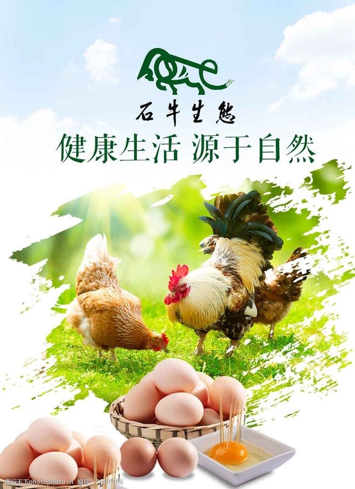 无污染宣传海报土鸡蛋广告