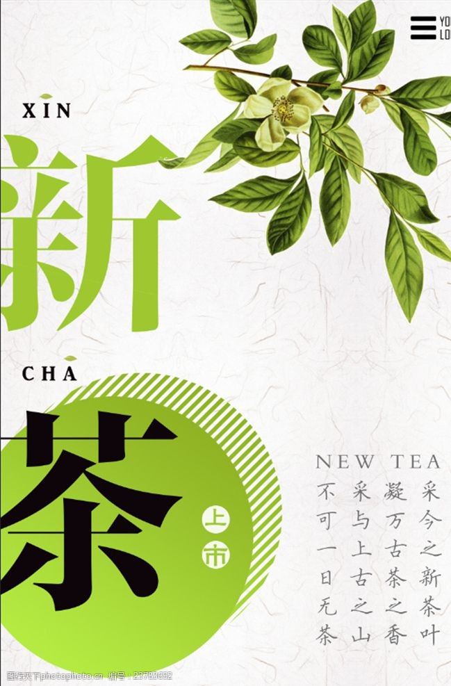 龙井中国名茶