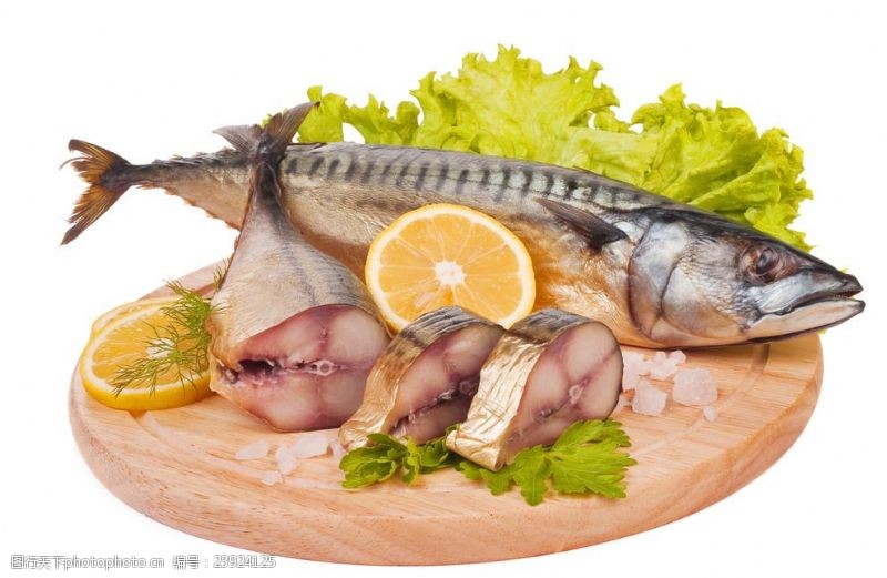 鲅鱼美味的鱼类