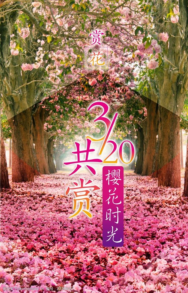 浪漫旅游樱花节宣传海报