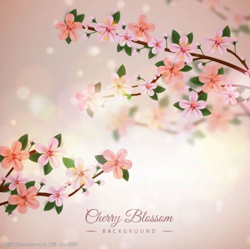 春季粉色朦胧背景樱花