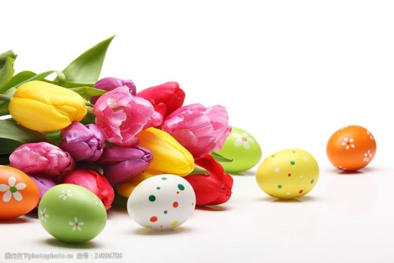 复活草复活节彩蛋与鲜花图片
