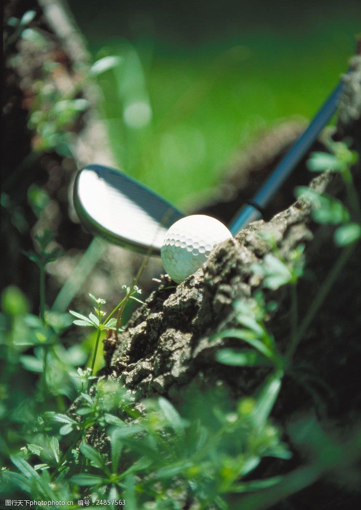 娱乐活动泥土里的高尔夫球用品图片