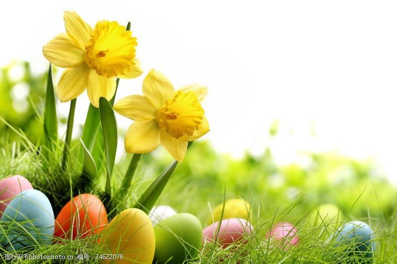 复活草草地上的彩蛋和鲜花图片