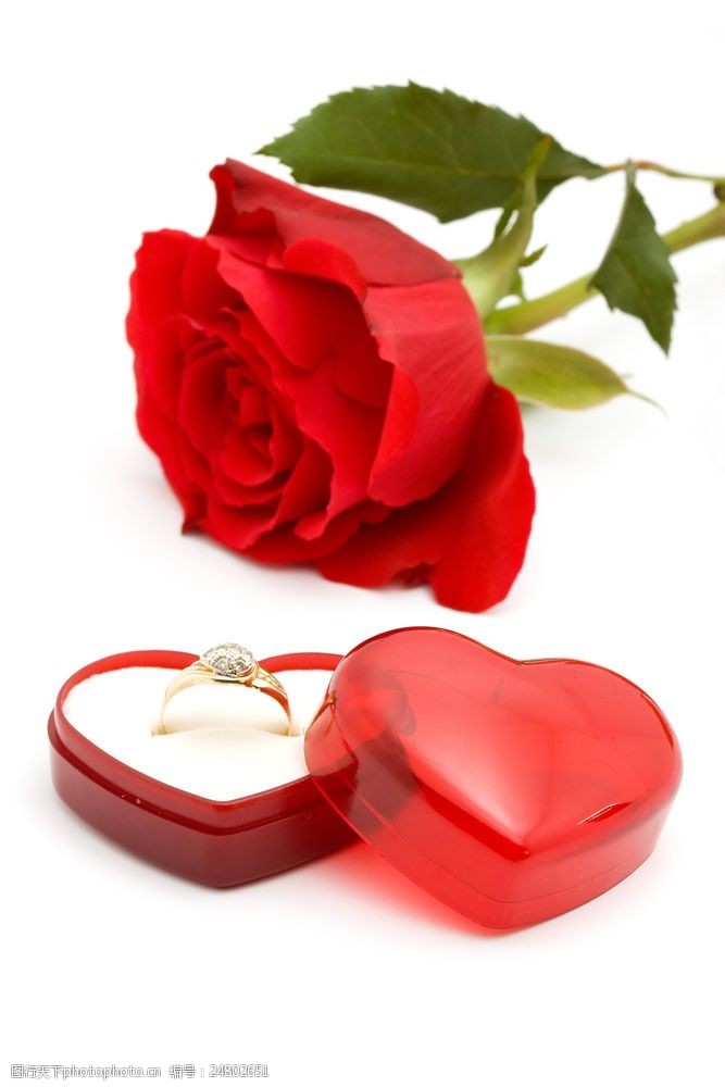 情人节礼物心形饰盒和玫瑰花图片