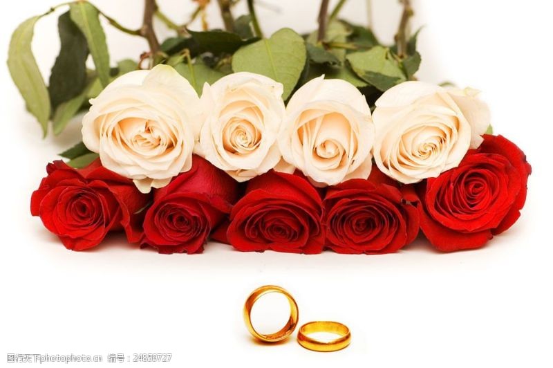 情人节礼物粉红玫瑰花和戒指图片