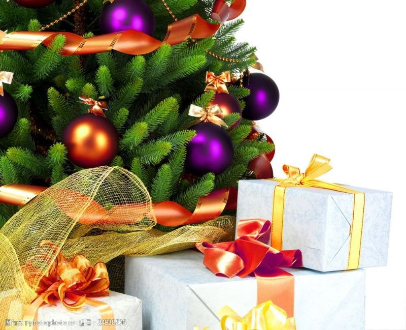 节日礼品圣诞礼包与圣诞树图片