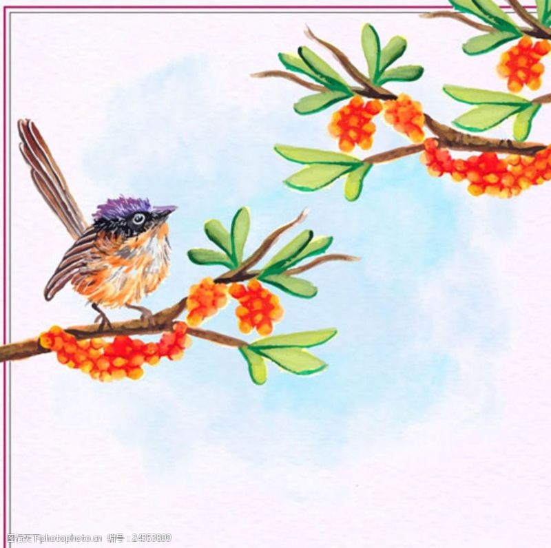 大惠站手绘春季站在枝头的小鸟