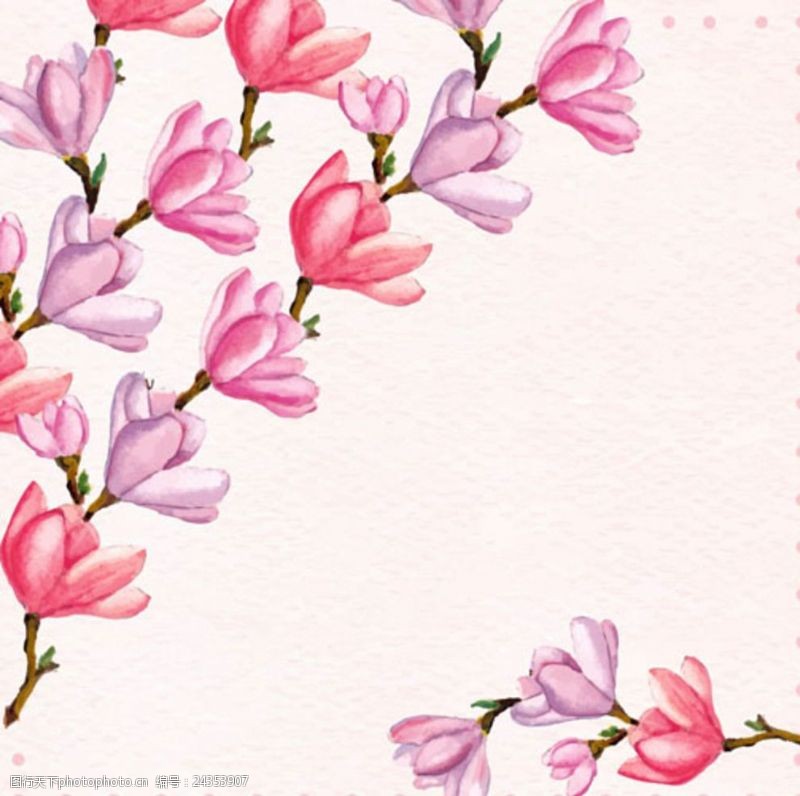 春季新款手绘水彩春季花卉花枝花朵