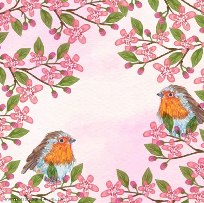 春季新款手绘水彩春季花卉小鸟插图