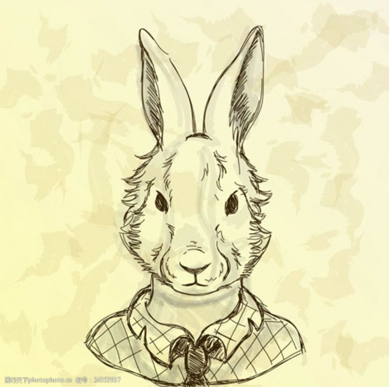 土鸡蛋手绘线稿复活节兔子先生