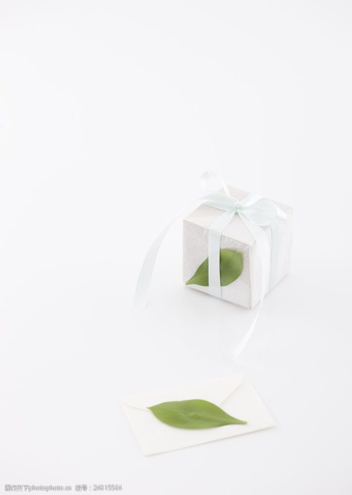 节日礼品白色礼盒与绿叶图片