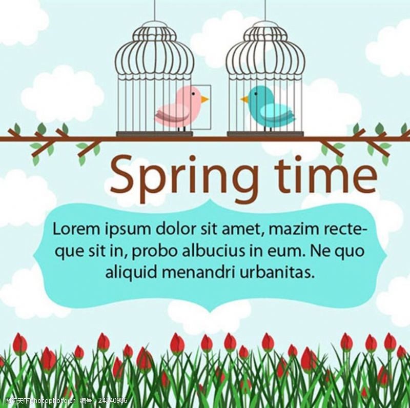 春季新款卡通春季花鸟海报