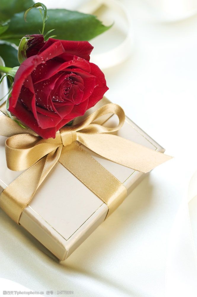 情人节礼物玫瑰花与礼物图片