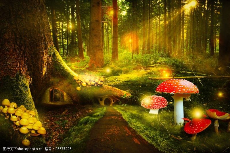 蘑菇小屋森林小屋