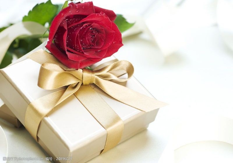 节日礼品玫瑰花与礼物图片