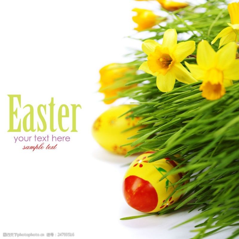 复活草复活节鲜花与彩蛋图片