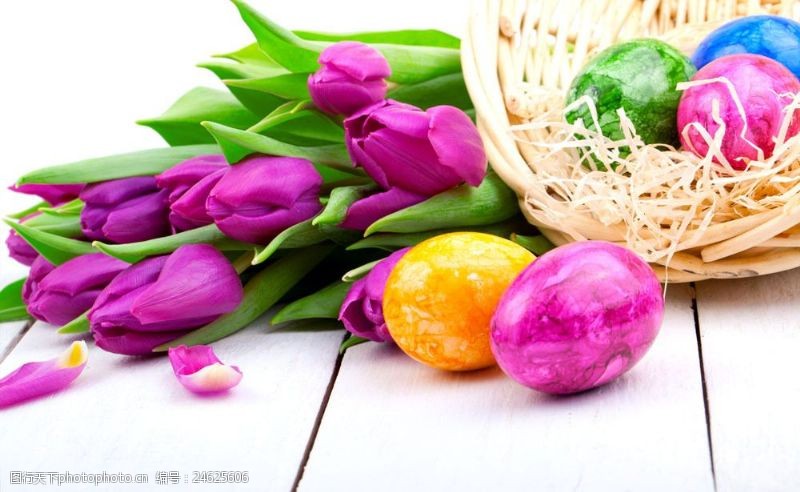 复活草彩蛋与郁金香图片