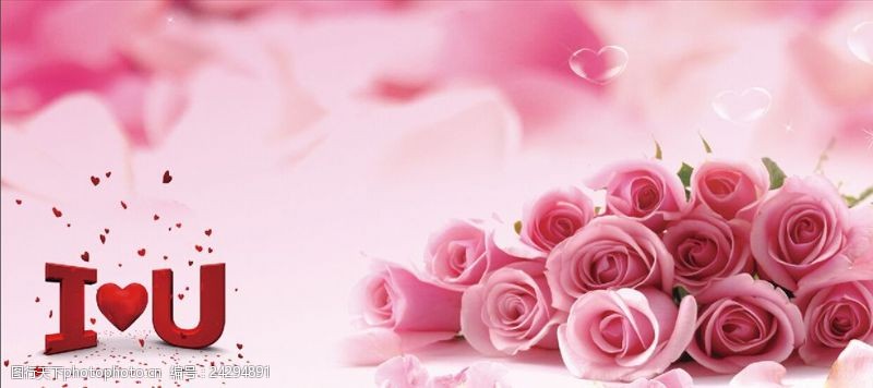 粉色玫瑰花背景粉色花朵背景