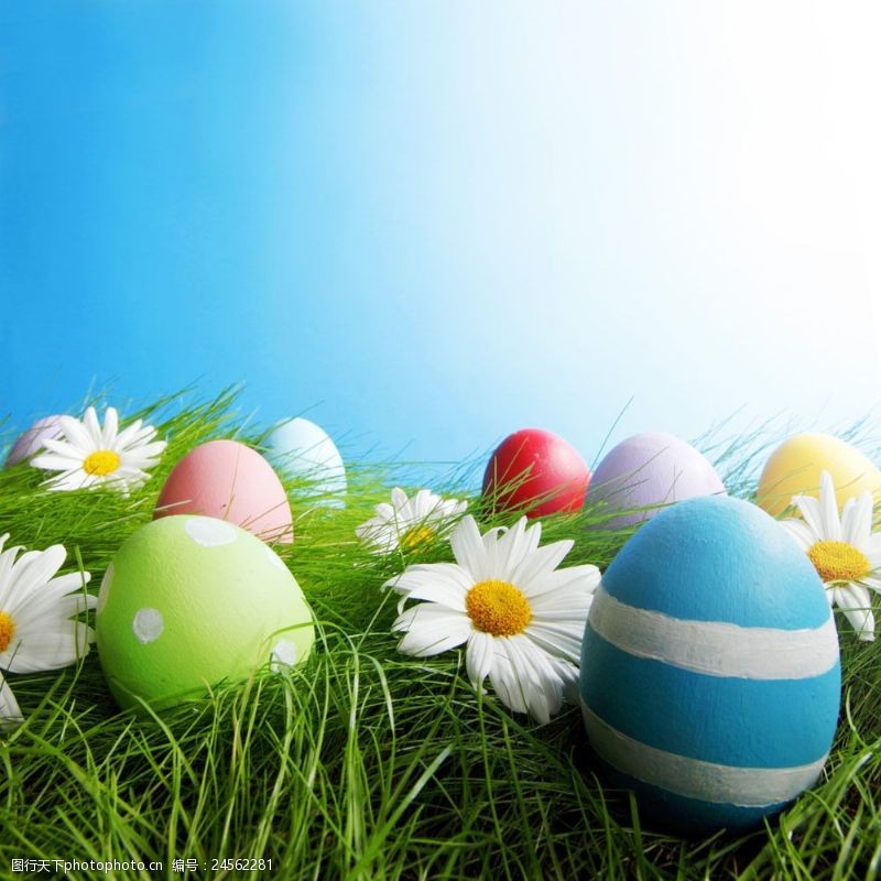 复活草草地上的复活节彩蛋图片