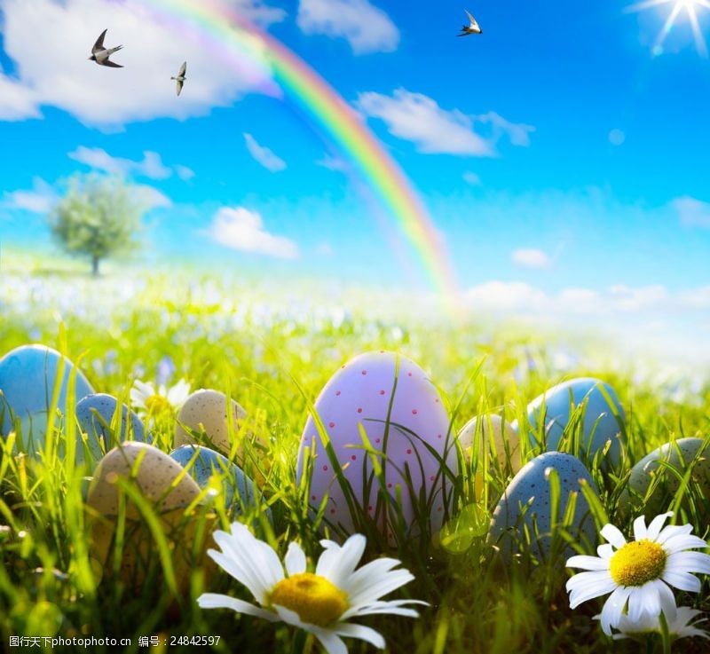 复活草草地上的复活节彩蛋图片