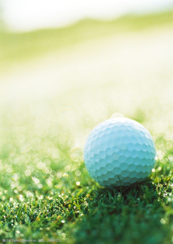 绿色运动绿草地上的高尔夫球图片