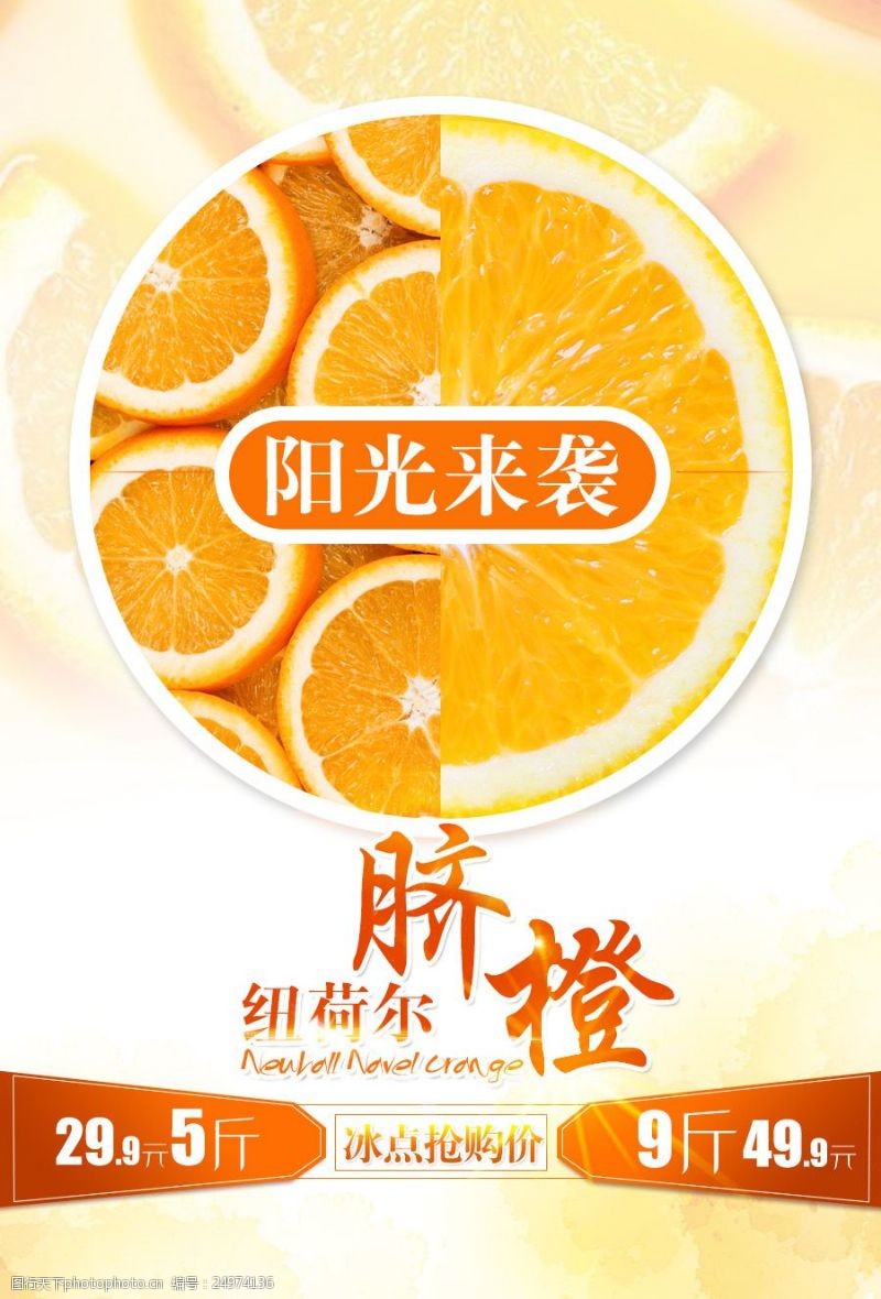 脐橙橙色橙子海报