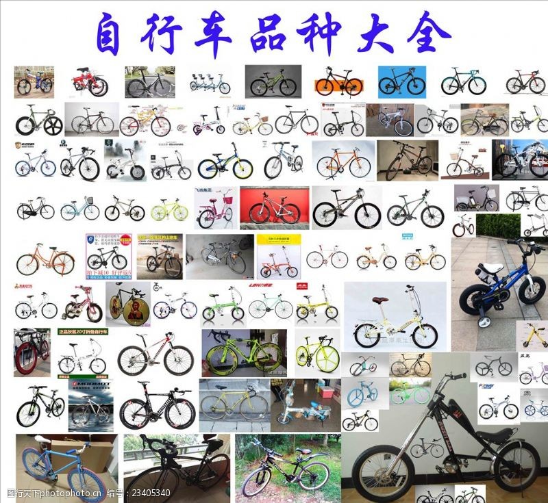 骑自行车自行车品种大全