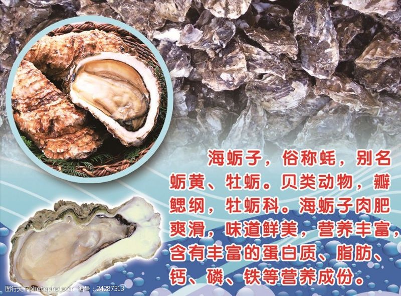 海鲜生蚝传单单页海蛎子