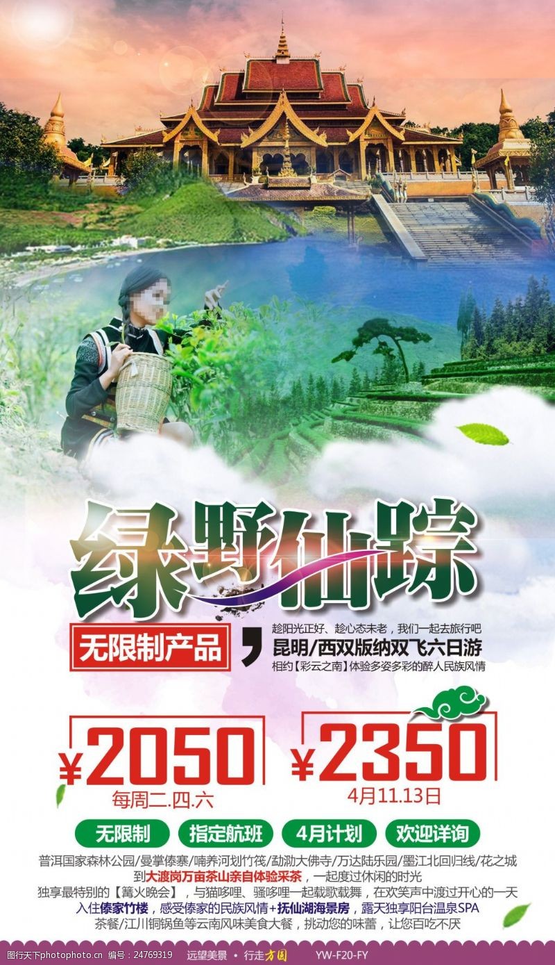 采茶女绿野仙踪云南版纳旅游广告宣传图