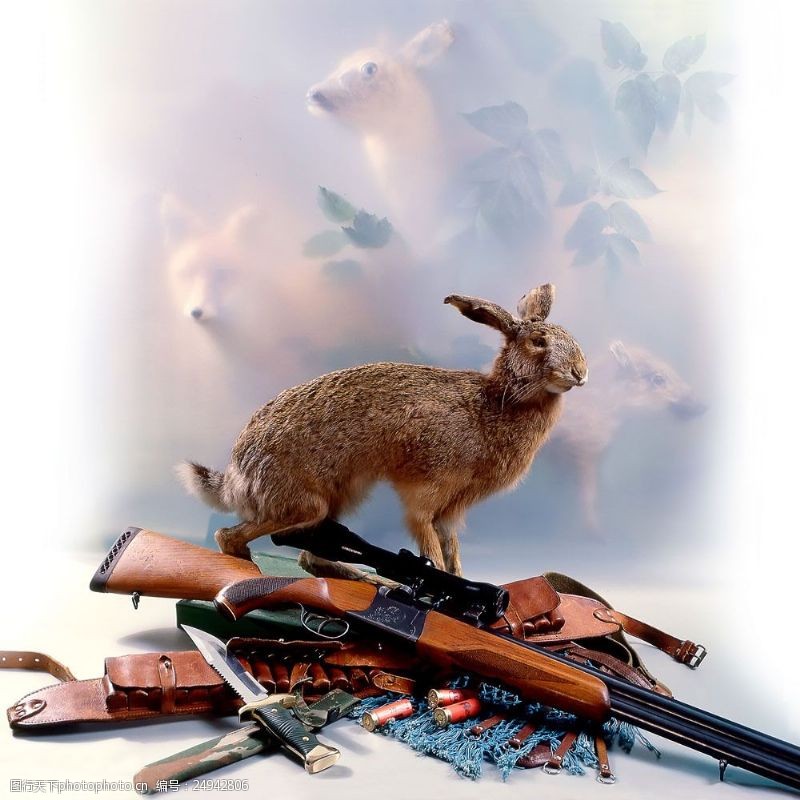 打枪狩猎的工具与动物图片