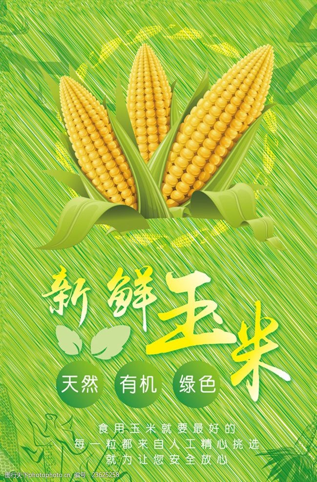 五谷杂粮广告新鲜玉米海报