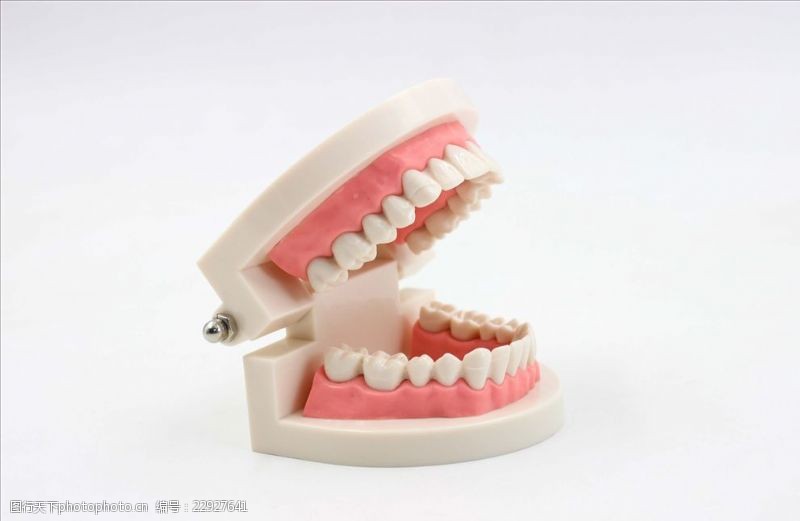 龋齿牙齿模型