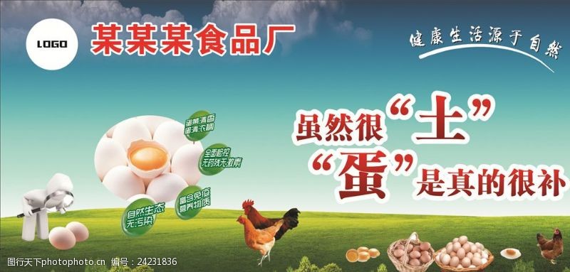 土鸡蛋海报广告