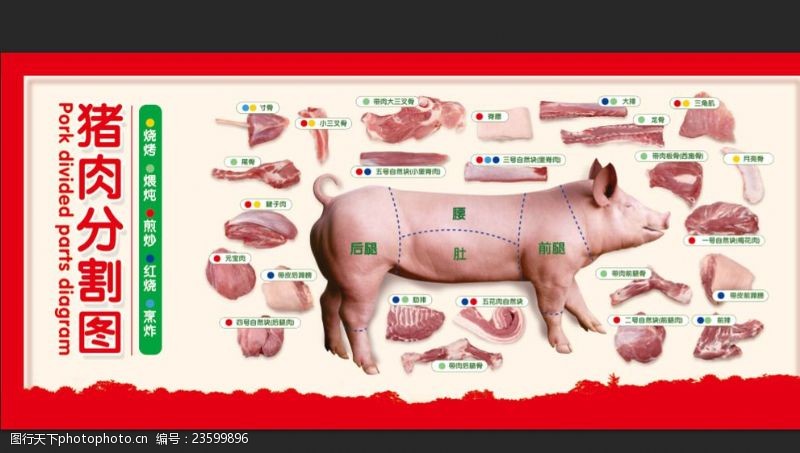大骨头猪肉分割图