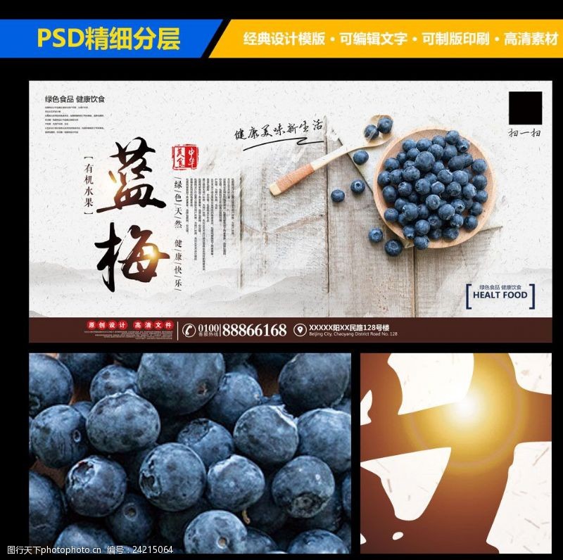 新鲜水果蓝莓宣传海报展板设计