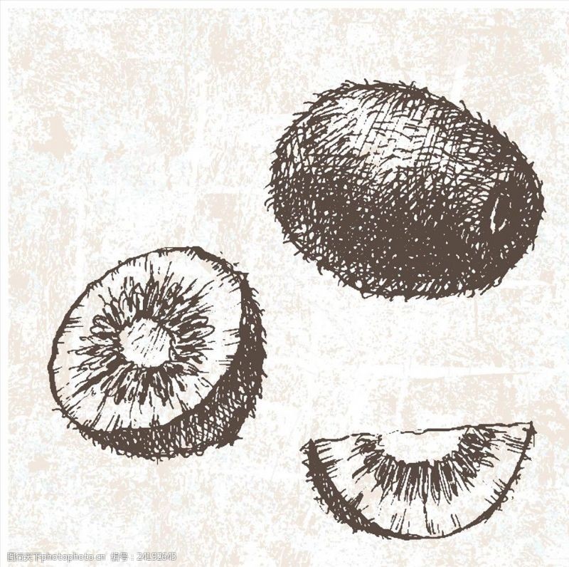 水果宣传手册手绘猕猴桃