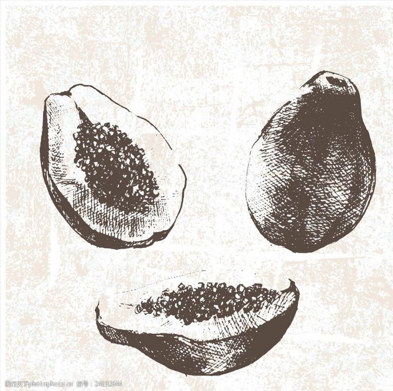 水果宣传手册手绘木瓜