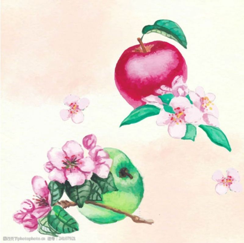 水果宣传手册手绘水彩苹果插图