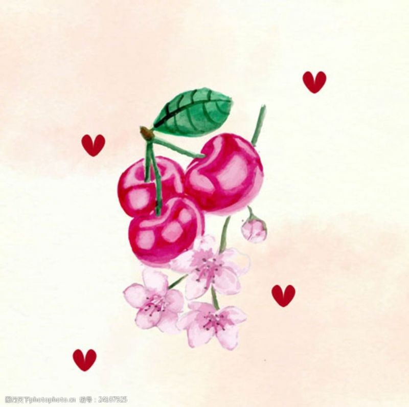 水果宣传手册手绘水彩樱桃插图