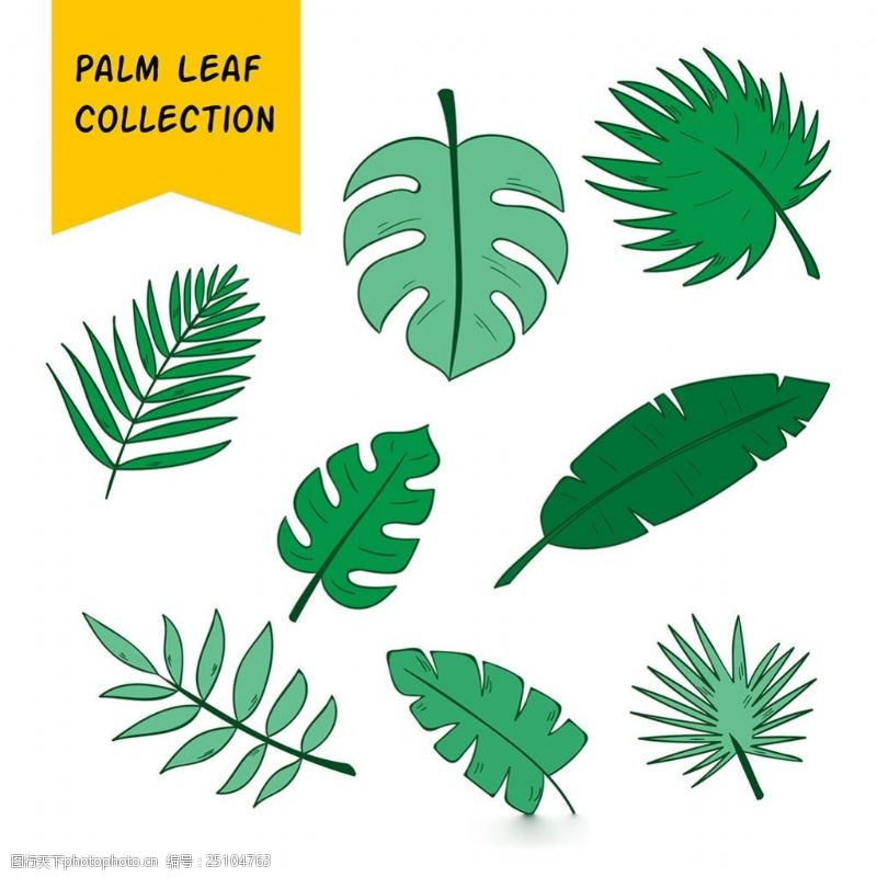 各种形状绿色手绘棕榈叶子矢量设计素材