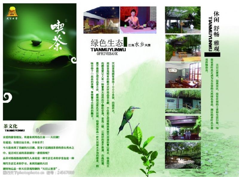 绿色茶中国风绿色清新茶画册